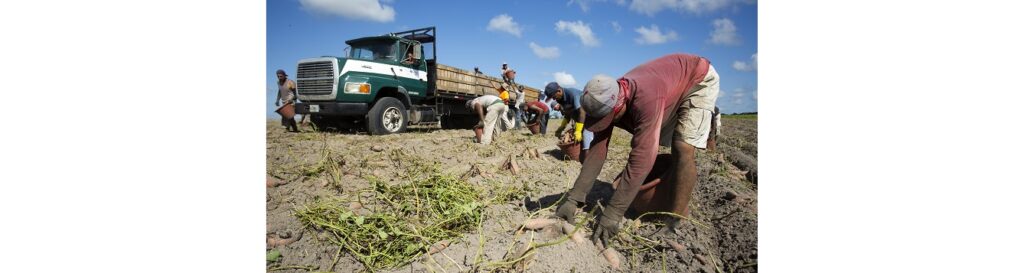 Protecting farmworkers from COVID-19 a focus in Florida
