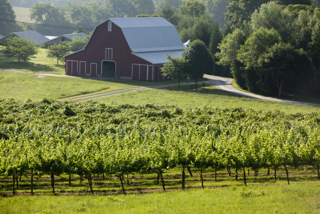 Georgia Ag Forecast: 2021 offers opportunity for ‘rural to shine’