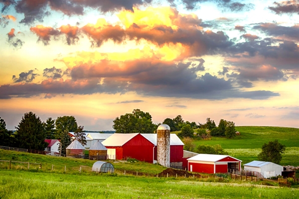 Virginia Tech report finds initial COVID-19 impact on farmers ominous