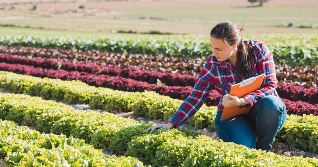 FDA: Outbreaks show value of implementing produce safety standards