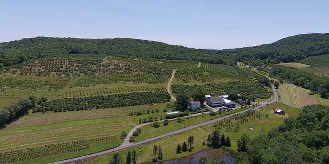 Frecon Farms: 8 decades of Pennsylvania apples