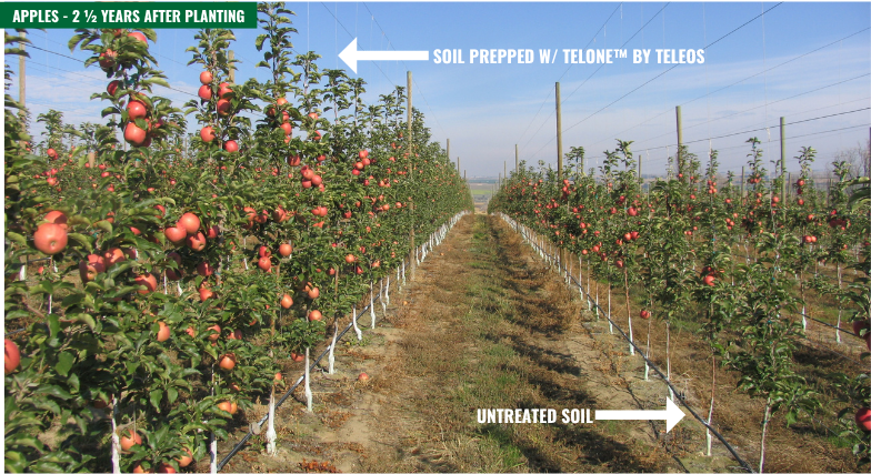 Nematodes Don’t Stand a Chance with TELONE™ by Teleos Soil Fumigant