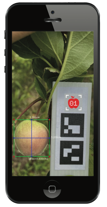 The FruitScout app takes a picture of a tree