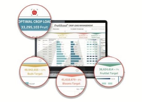 Grower, researcher look at the viability of FruitScout