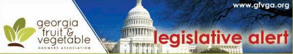Ag labor bill supported by Georgia growers group