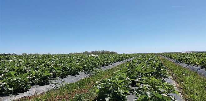 Advancing crop management at Great Lakes EXPO