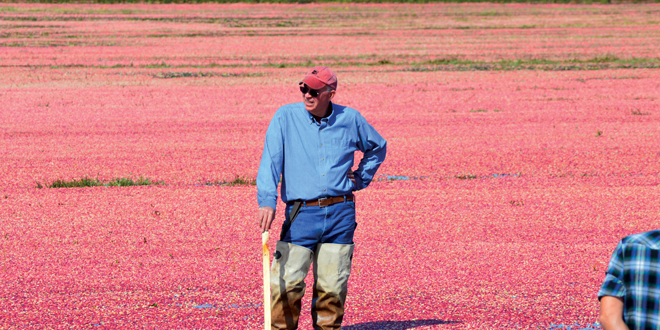 New Jersey farm still growing cranberries 125 years later