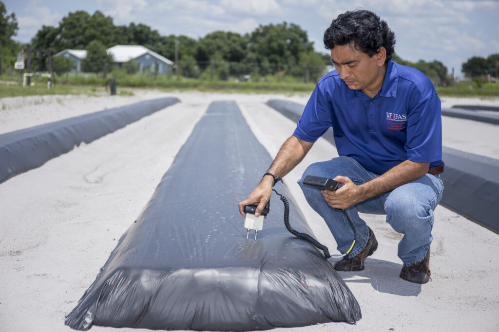 Growers can save money with taller, higher soil bed design