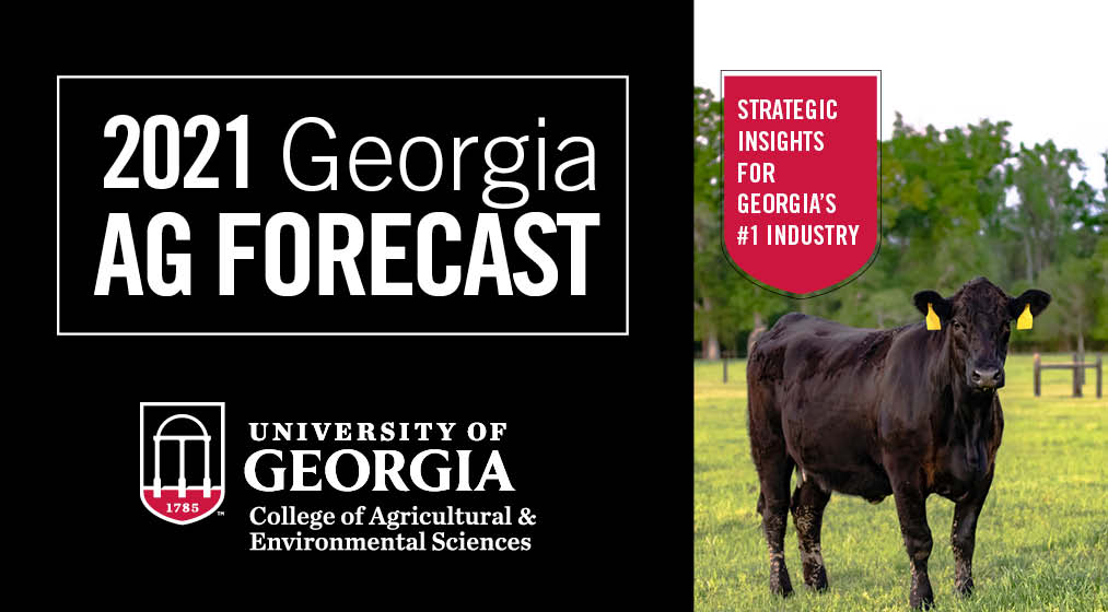 Georgia Ag Forecast to be held online Jan. 29