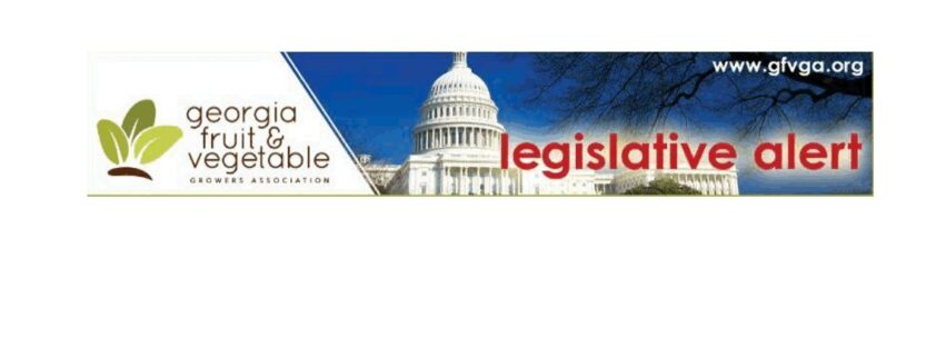 Georgia association weighs in on H-2A rules, farm bill