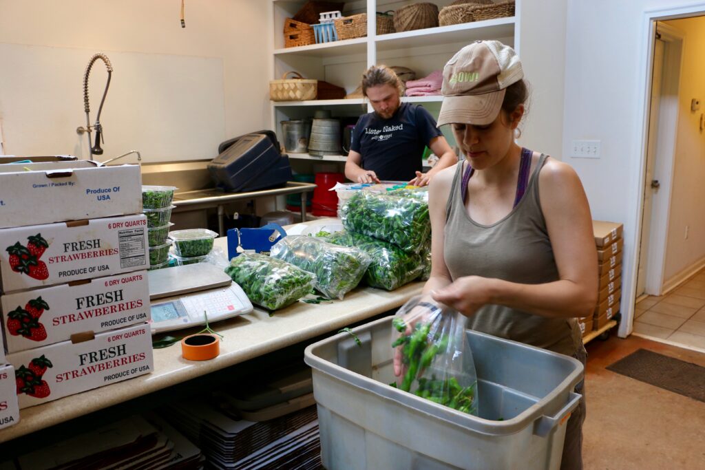 UGA Extension training helps keep Georgia’s produce safe