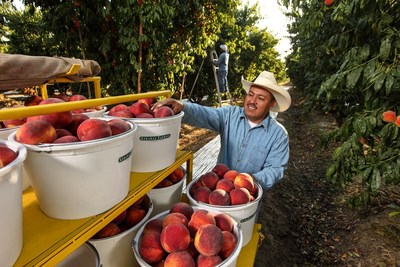 COVID-19 guidelines for agricultural operations offered by University of Georgia