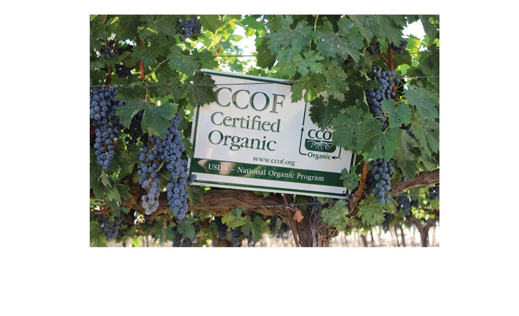 Great Bear Vineyards’ biologicals focus