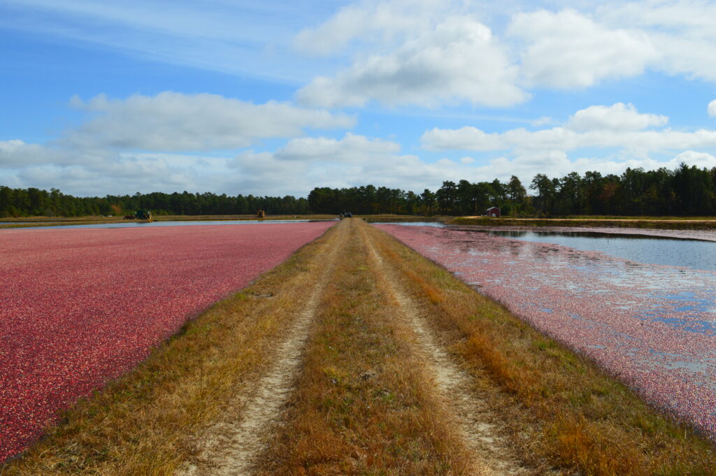Cranberry Industry Revitalization Task Force holds first meeting