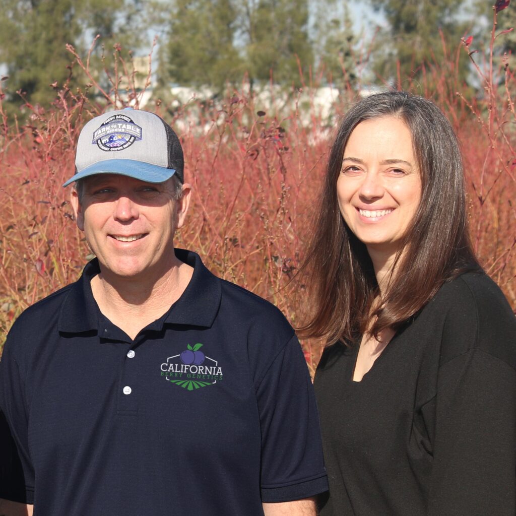 Grower has faith in Duchess Blueberries