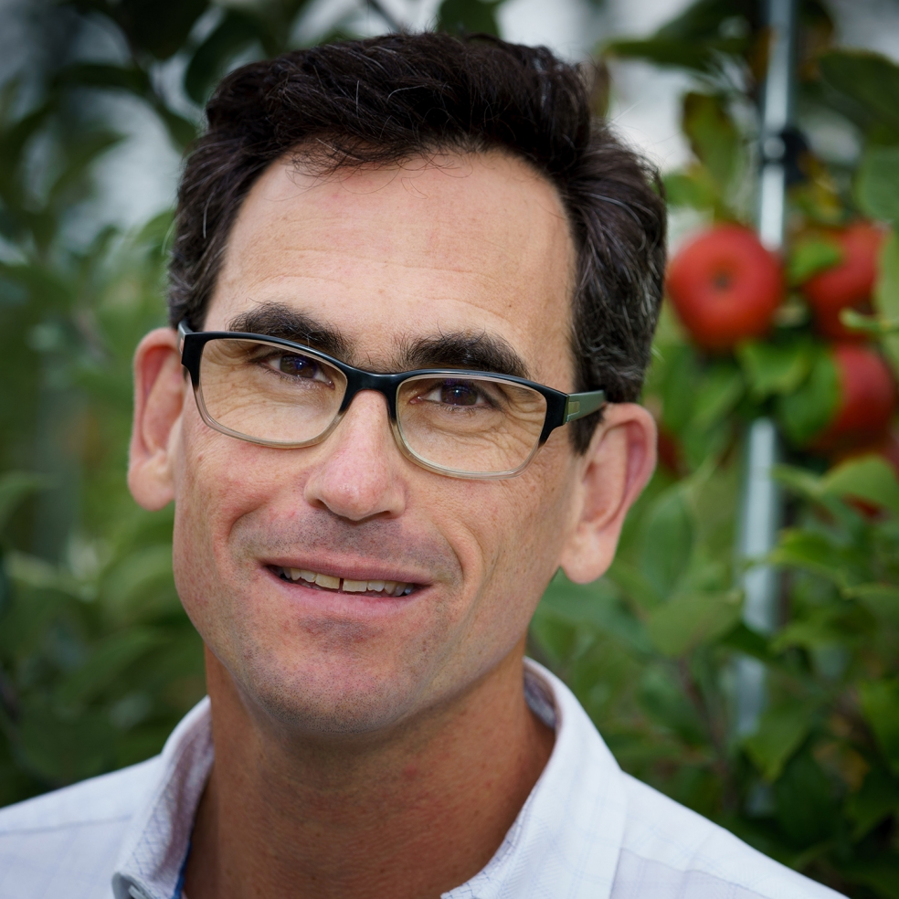 The emergence of hard cider apples