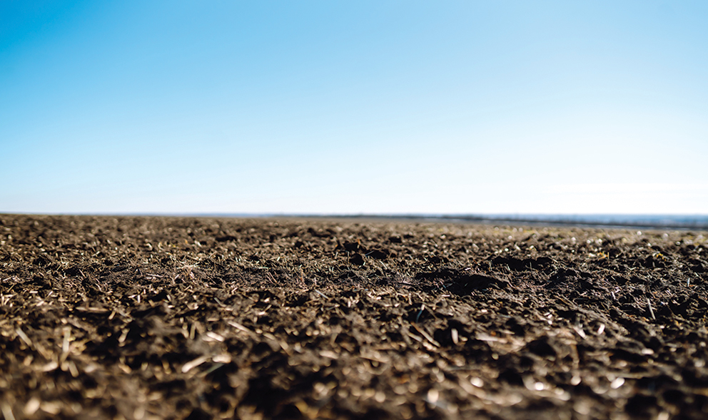 Ground resilience: Water conservation, sustainable practices improve land, plant health