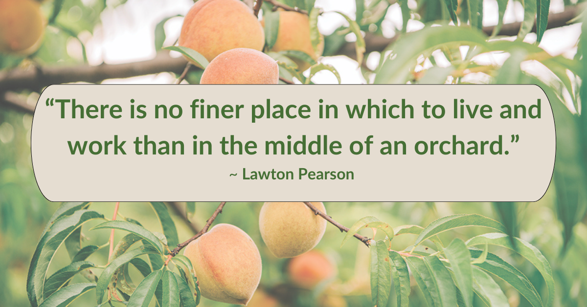 Lawton Pearson quote about Pearson Farms