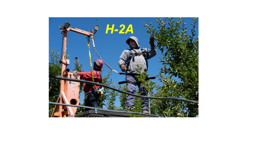 Farm labor groups file lawsuit against H-2A regulations