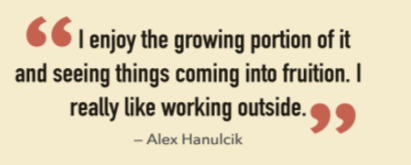 story pullquote