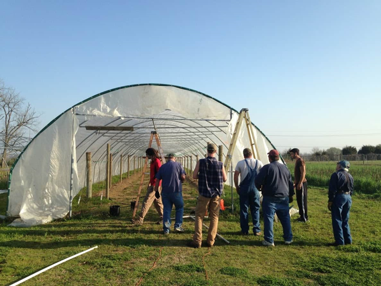 The power of high tunnel specialty crop growing examined