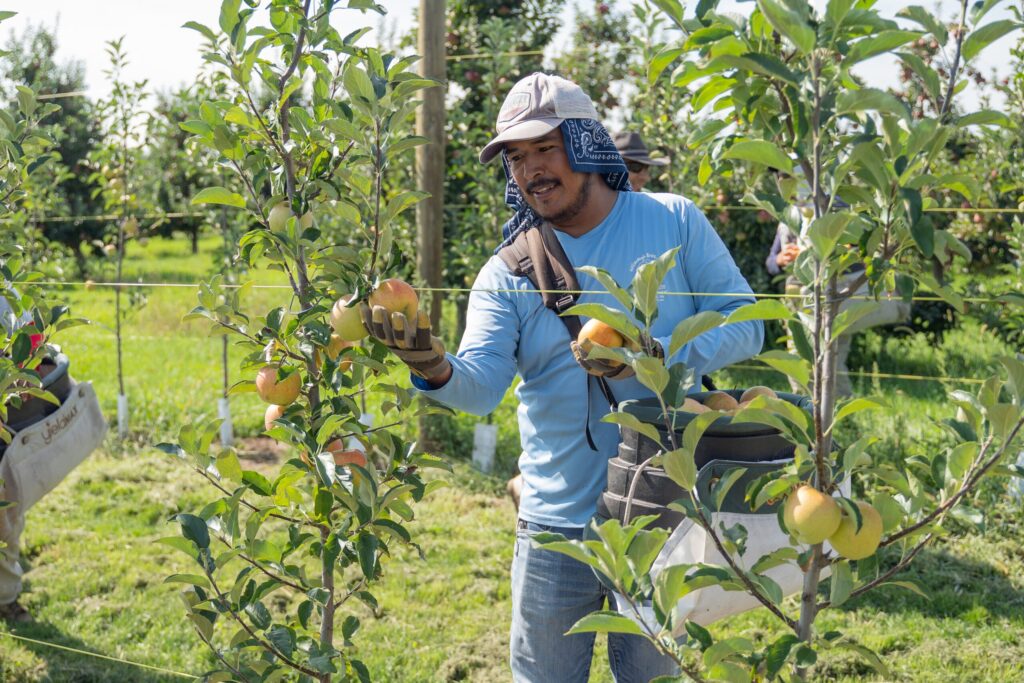 Collection of H-2A certification fees to be temporarily suspended