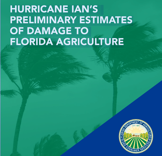 Florida agency publishes Hurricane Ian damage estimates
