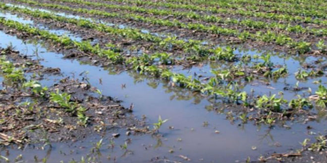 USDA issues block grants as part of broader disaster relief package