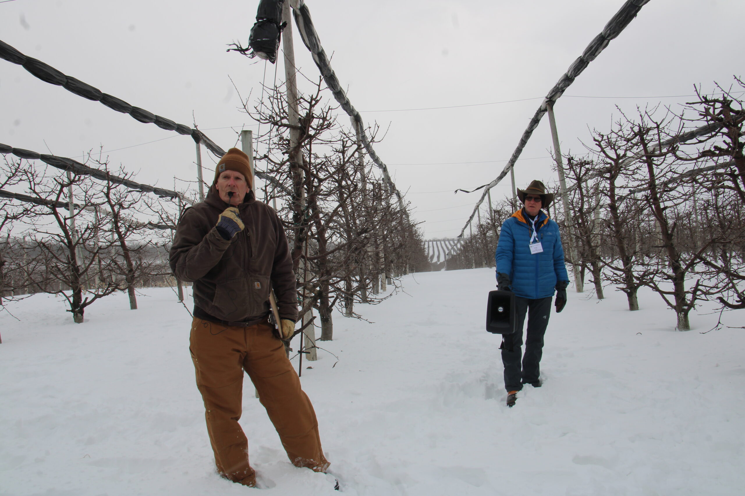 Dennis Buhr, co-owner of Newroyal Orchards, talks about cherry production during the International Fruit Tree Association’s IFTA’s winter conference orchard tours.