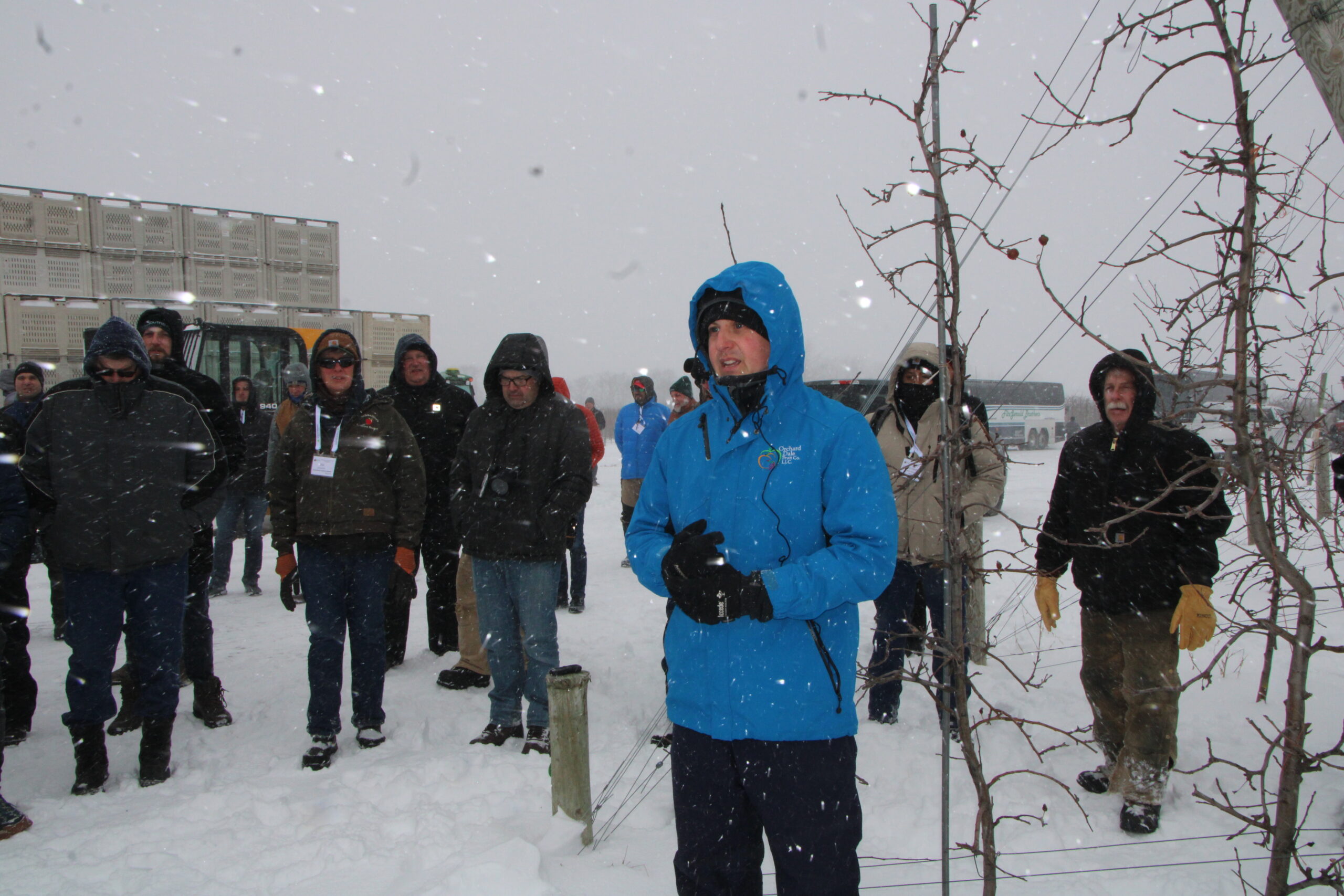 Increasing tree height helped Bobby Brown of Orchard Dale Fruit Farm grow apples on 14-foot poles, 11 by 11-foot and shorter systems. Brown discussed tree training during an orchard visit as part of the International Fruit Tree Association’s IFTA’s winter conference.