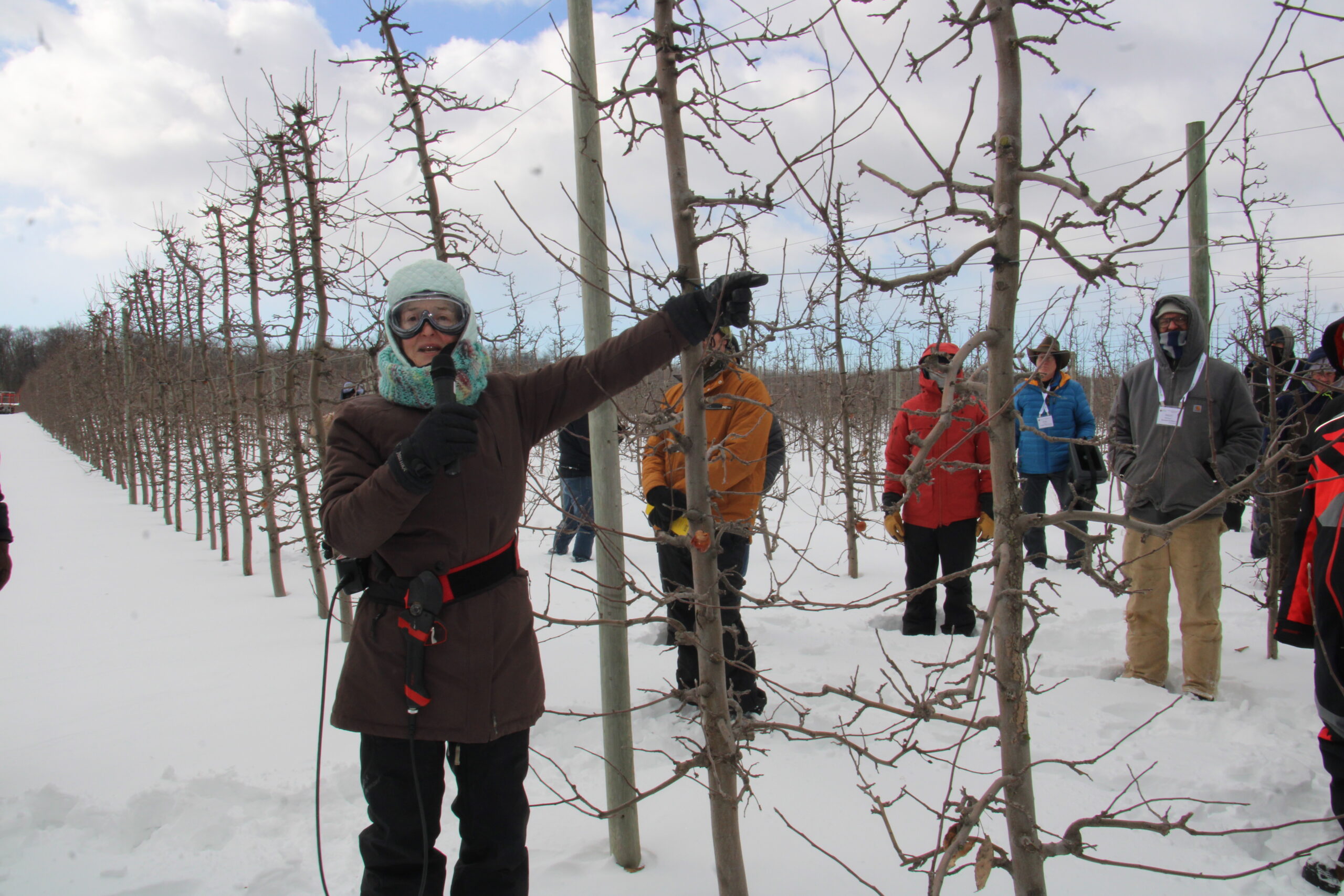 Jill MacKenzie of Two of Clubs Orchard discussed apple tree training during the International Fruit Tree Association’s winter conference orchard tours.