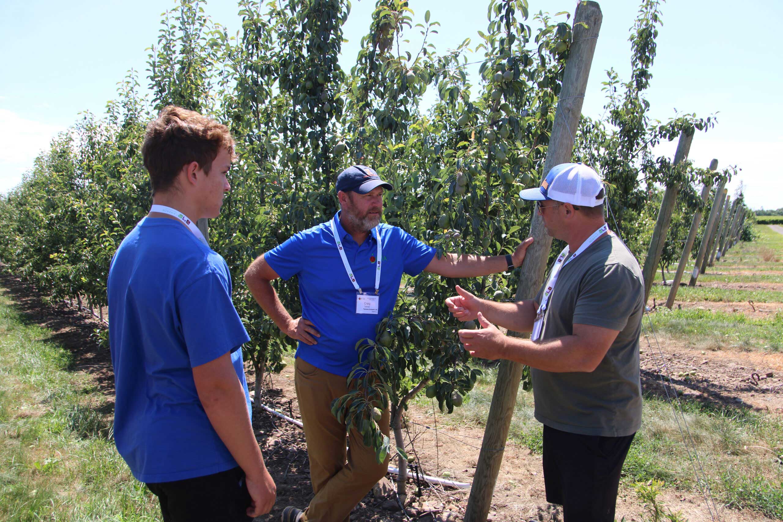 Photo of Henry and Craig Tanner of Tanners Orchard talking with IFTA chairman Kyle Ardiel of Apple Springs Orchards in an orchard.
