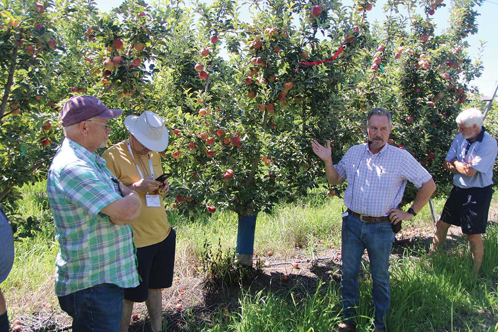 Lodi Farming’s Jeff Colombini discussed low-chill apples in this grove of organic Wildfire Gala apples. Photos by Doug Ohlemeier.