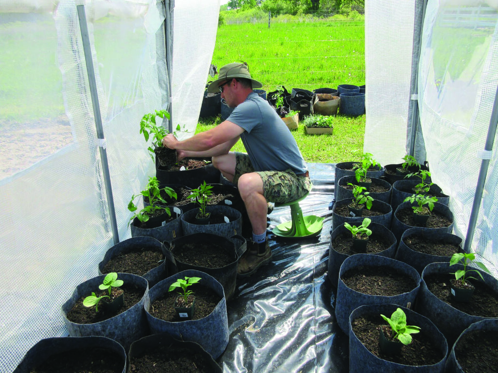 A combat veteran’s journey toward growing, selling produce
