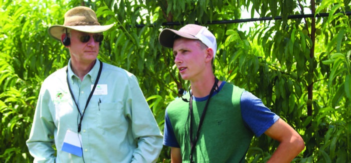 UFO peach system finds favor at Windy Ridge