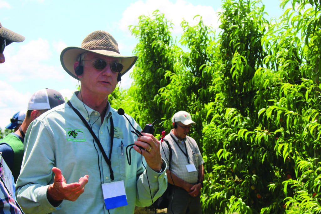 New book from experts about sweet cherry production available