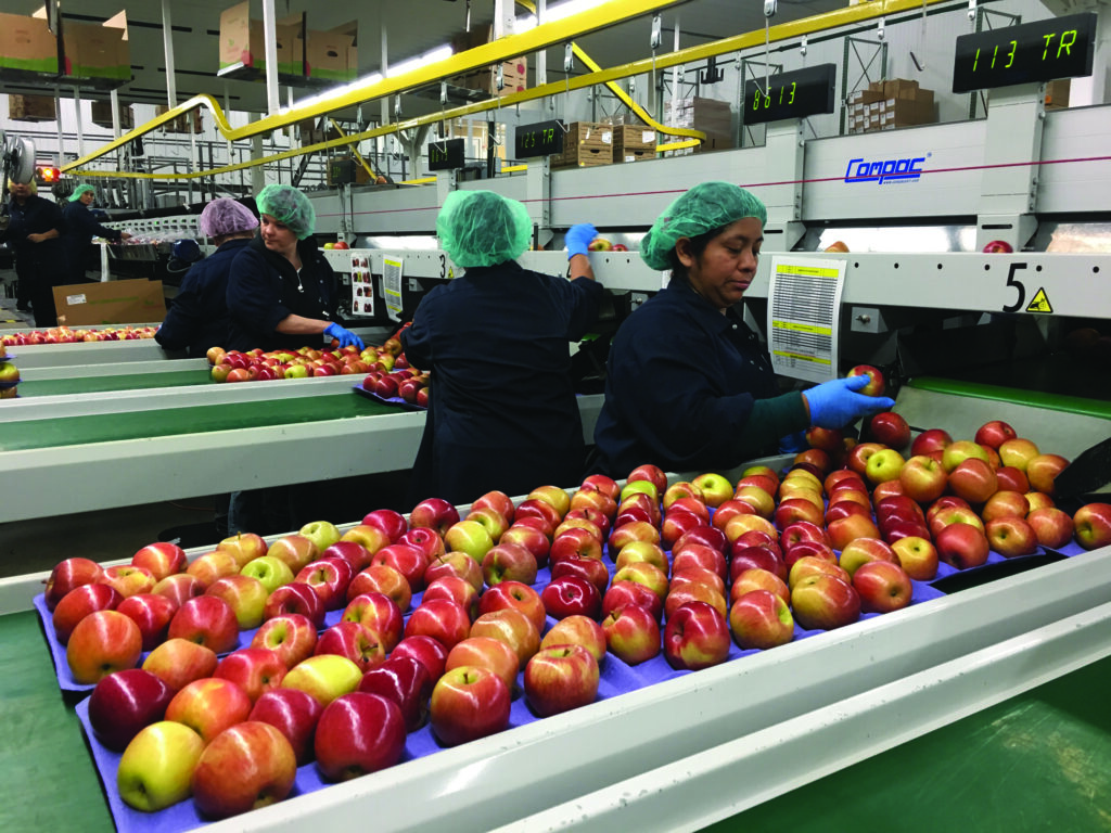 Riveridge selling half of Michigan’s fresh apples