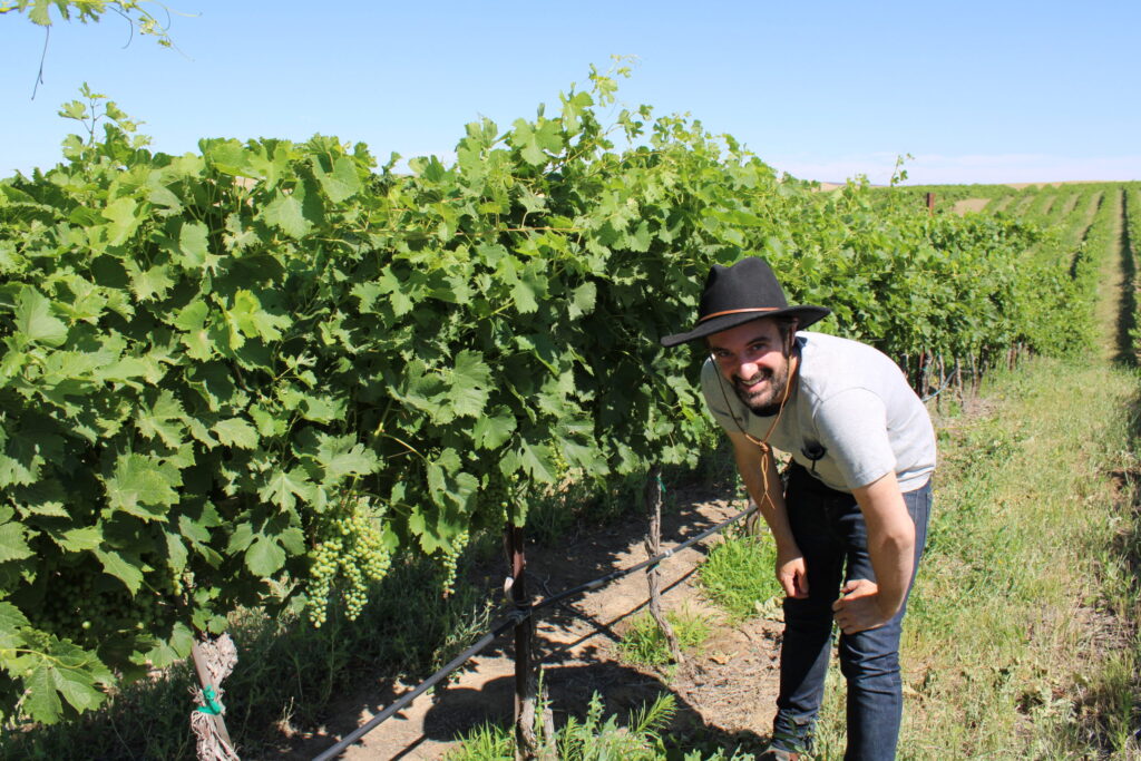 Walla Walla vineyard focuses on sustainability