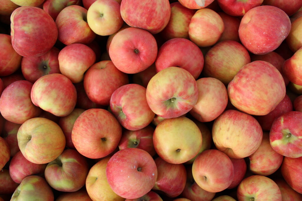 Fryhover plans to retire from Washington Apple Commission