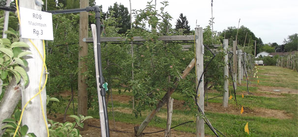 Private/public partnerships help Quebec thrive