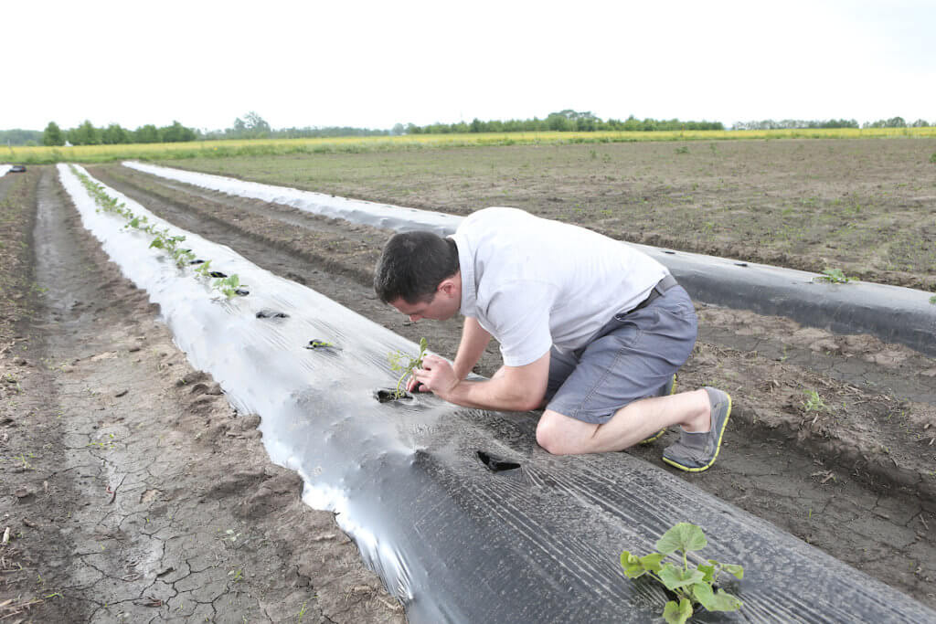Purdue College of Agriculture presents three major awards