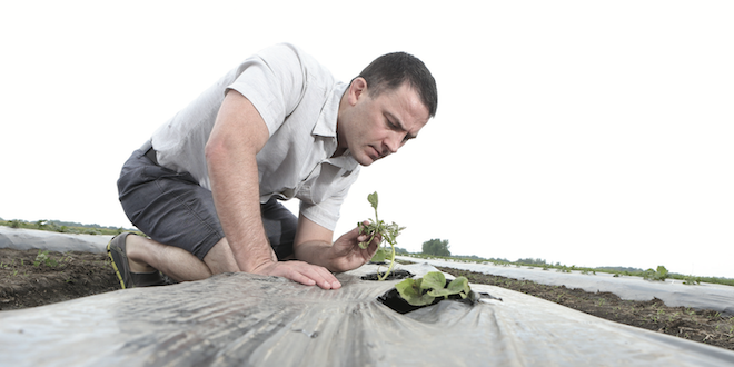 Protein-based biologicals among trends in IPM