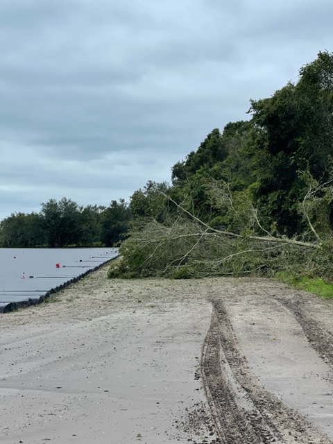 In central Florida, Hurricane Ian blew plastic off beds and downed trees in strawberry fields at Plant City’s Fancy Farms.