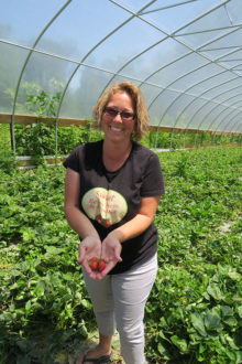 West Virginia farm determines optimal strawberry planting dates