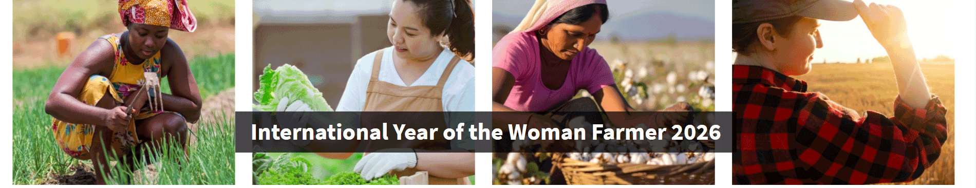 International Year of the Woman Farmer