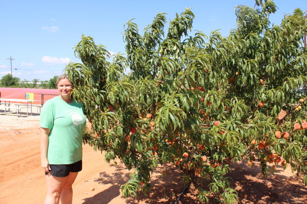 Jenschke Orchards braves Texas-sized heat, drought