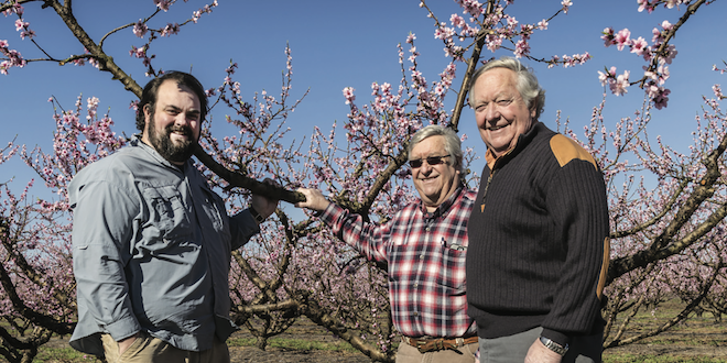 Jerrold A. Watson & Sons grows organic peaches, vegetables