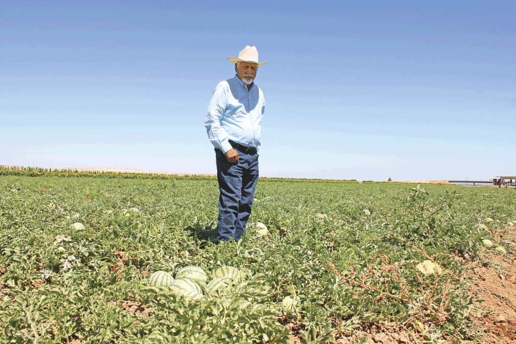 Despite crop delay, California melon growers applaud crop