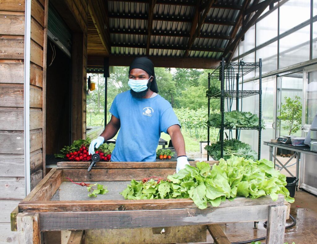 Produce Marketing Association announces first Impact Award Laureates