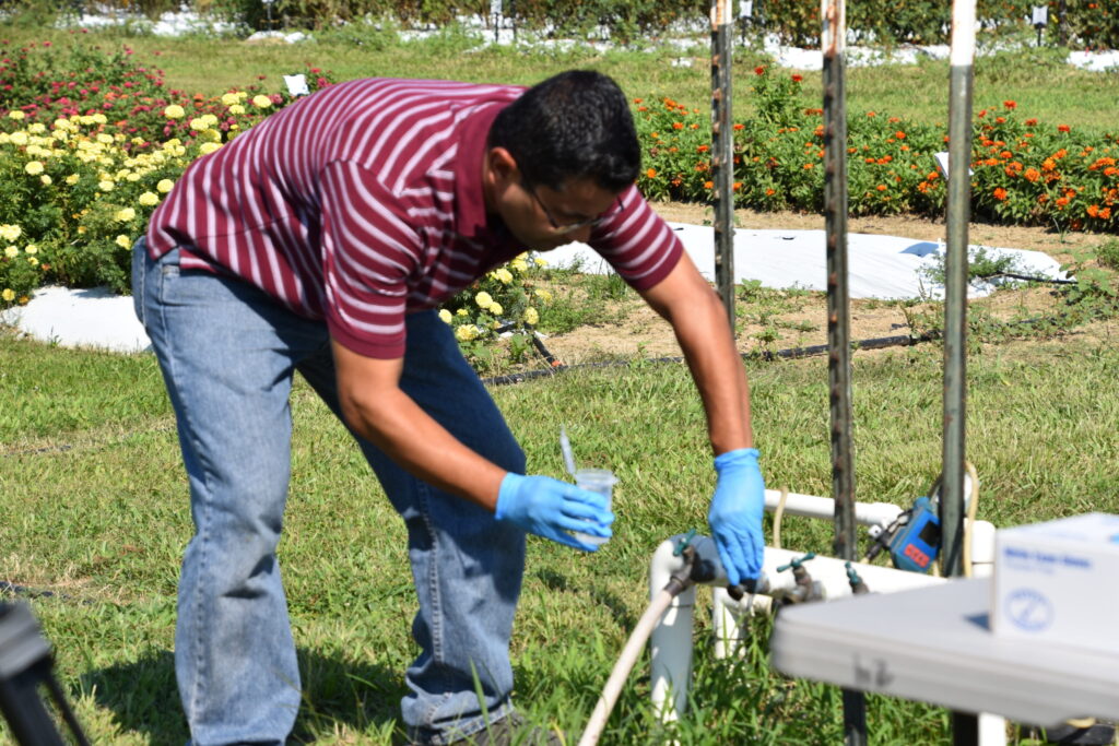 LSU, state join to offer safety program to produce growers